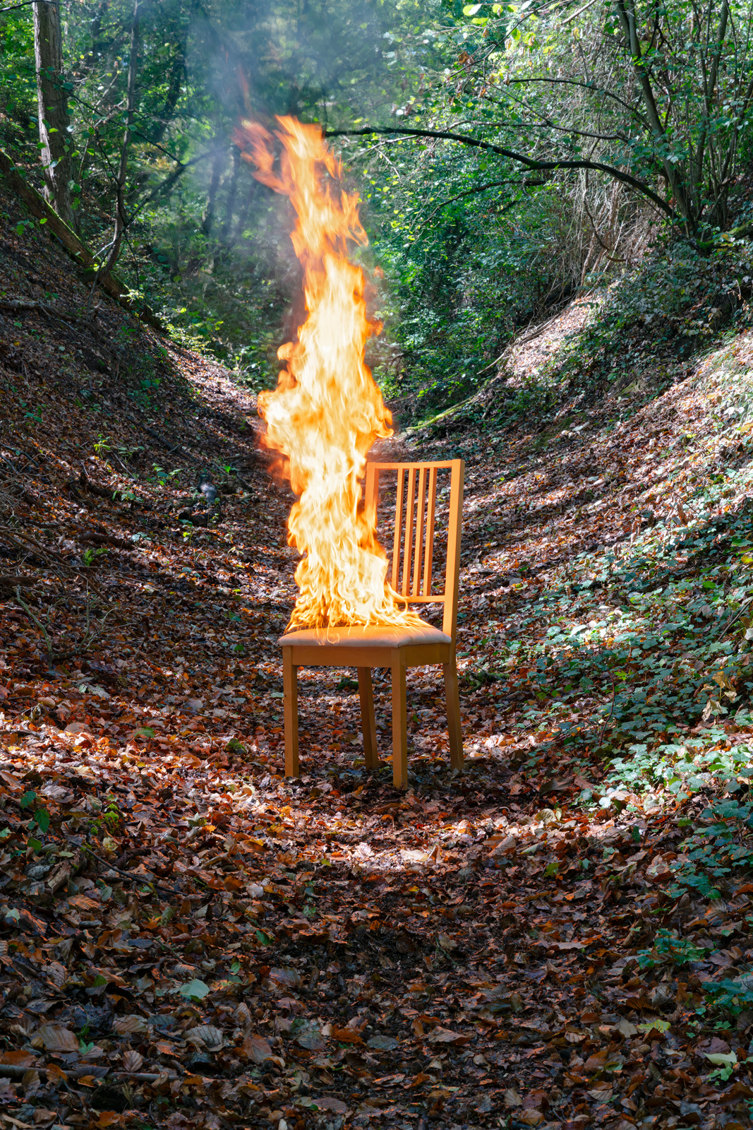 Feuerstuhl, 2026_100 cm x 150 cm_Fine Art Print